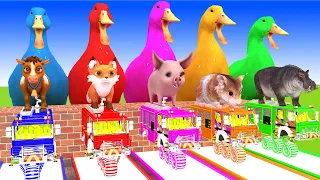 5 Giant Duck, Monkey, Lion, piglet, MCQUEN, cat, Tiger, Sheep, Transfiguration funny animal 2023