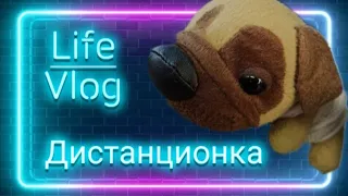 Дистанционка Vlog! The dog collection!