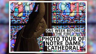 PHOTO tour of NOTRE DAME Cathedral, Paris, France