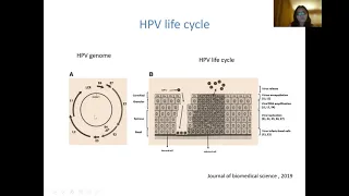 Infection Causing Cancer, Nipping the evil in bud| Public Lecture Series|Silver Jubilee Celebrations