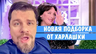 ХАРЛАМОВ ДАВАЙ ПОЖЕНИМСЯ • ХАРЛАМОВ ЛУЧШЕЕ ПОДБОРКА