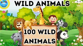 100 Animals Of The World// Wild Animals Names And Sounds// Educational Videos For Toddlers// Animals