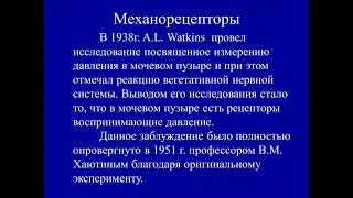 Гиперактивный мочевой пузырь и детрузорная гиперактивность