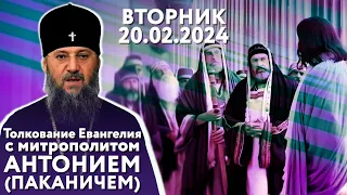 Толкование Евангелия с митр. Антонием (Паканичем). Вторник, 20 февраля 2024 года.