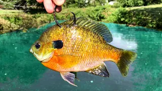 An EPIC Battle with a Pond MONSTER!!! (I Didn't Think I Could Land Him!)