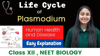 Life Cycle of Plasmodium | Malaria Parasite | CLASS XII | NEET