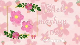 tiktok mashup 2024 April