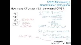 Microbiology Serial Dilution calculation