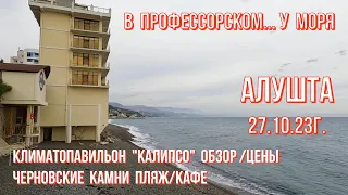 Алушта/В Профуголке у МОРЯ🌊ЧЕРНОВСКИЕ камни-кафе/ЦЕНЫ/"Калипсо" климатопавильон-обзор/Крым27 10 23г.