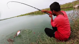 Fish hunting || Amazing piranha fishing || Big piranha fish catching