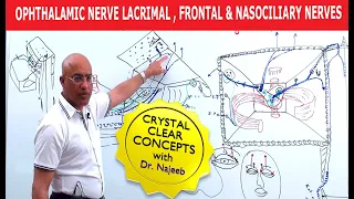 Ophthalmic Nerve | Lacrimal, Frontal and Nasociliary Nerves