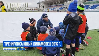 Тренировка "Юный Динамовец" 2016 г.