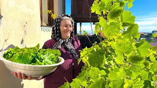 Harvesting Fresh Grape Leaves and Cooking Traditional Dolma in the Village!