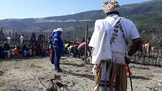 Emcimbini dlomo clan family Seymour elundini backpackers xhosa.