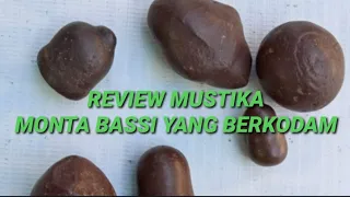 Review mustika monta bassi dari # Sulawesi Selatan# jenis tanah#