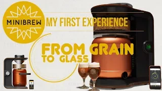 MiniBrew My First Experience From Grain to Glass