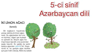 5-ci sinif. Azərbaycan dili. Səhifə 92,93