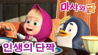 마샤와 곰 👱‍♀️🐻 인생의 단짝 🤗🤝 Masha and the Bear