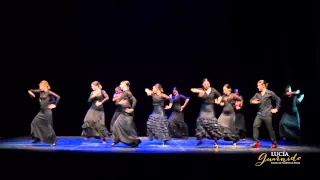 FLAMENCO. Escuela de Flamenco y Danza Lucía Guarnido