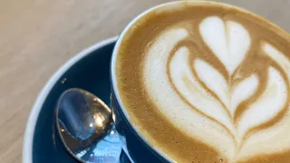 Whats the difference between a latte and a flat white? Barista basics explained ✅