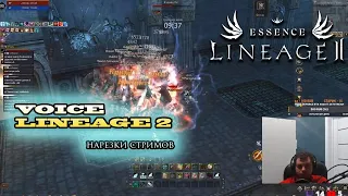 ДИНО СЕТЫ В LINEAGE 2 ESSENCE