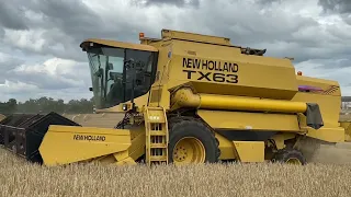 Cumbrian Harvest 2023. New Holland TX63 combining winter barley with MF support team.