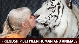 Mysterious Friendships between Human and Animals