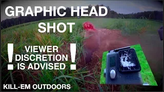 GRAPHIC Head Shot -300 WIN MAG-