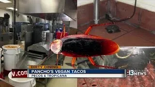 Roaches found everywhere inside Pancho's Vegan Tacos says Dirty Dining