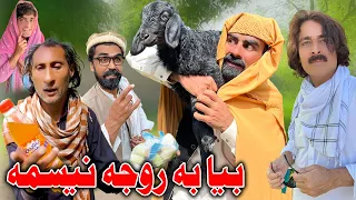 Bia Ba Roja Nesama Funny Video Khyber Vines