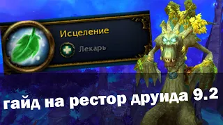 Гайд на Рестор Друида | Друид хилл 9.2 Гробница Предвечных | World of Warcraft Shadowlands