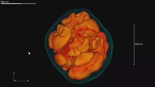 INSIDE A SUPERNOVA - What Happens Before a Star Explodes