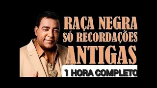 RAÇA NEGRA SÓ AS MELHORES 1 HORA COMPLETO