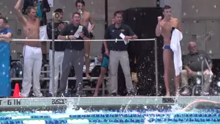 Cal Men's Swimming & Diving: 2015 NCAA Championships Highlight Video