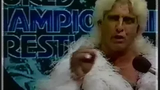 NWA WCW Georgia Wrestling 4/6/85