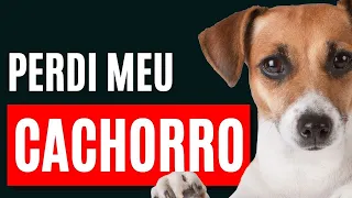 Mensagem Espírita para quem perdeu um cachorrinho recentemente