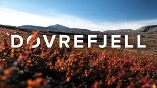 DOVREFJELL National Park (Hiking Adventure)