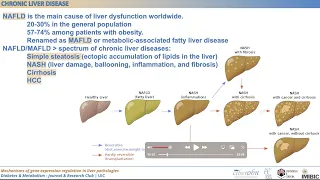 Mechanisms of gene expression regulation in liver pathologies