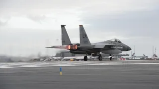 Icelandic Air Policing B-Roll