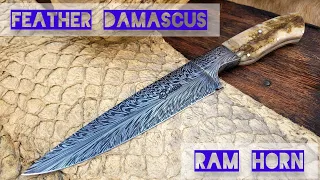 Feather Damascus   Ram Horn