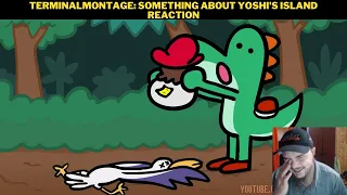 TerminalMontage: Something About Yoshi's Island Reaction
