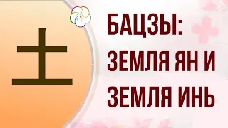 БАЦЗЫ| СТИХИЯ ЛИЧНОСТИ: ЗЕМЛЯ ЯН И ЗЕМЛЯ ИНЬ