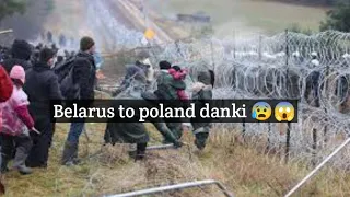 belarus to poland donkey 2023||belarus to poland donkey