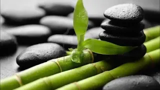 Relaxation Music (Chinese Bamboo Flute Theme)