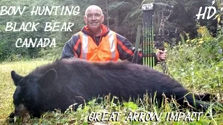 Black Bear Bow hunt in Ontario Canada with Mathews No Cam HTR how good bow works impact