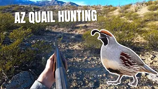 Quail Hunting in Arizona (Catch Clean Cook)