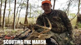 MARSH SCOUTING!! - Scouting Edges in the Marsh and Tidal Timber! - Public Land Deer Scouting Part 2