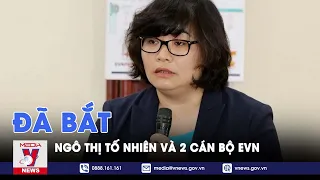 Đã bắt Ngô Thị Tố Nhiên và 2 cán bộ EVN - VNEWS