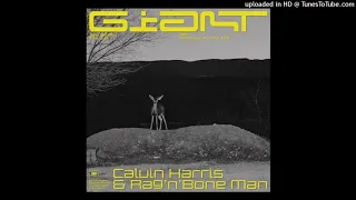 Calvin Harris, Rag'n'Bone Man - Giant