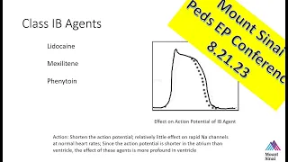 Mount Sinai Pediatric EP Conference - 8.21.23